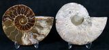 Beautiful Polished Ammonite Pair - Agatized #9303-1